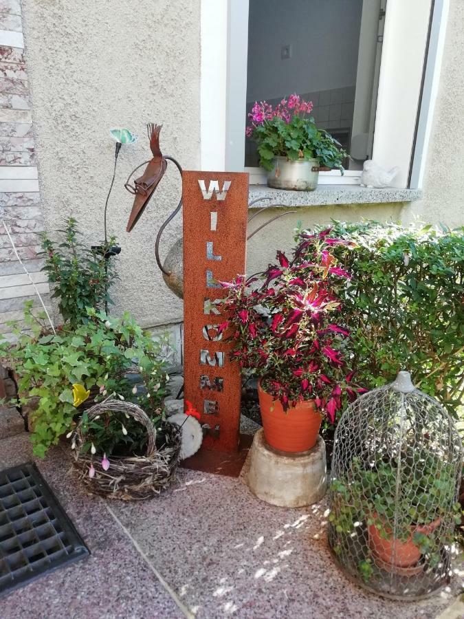 Ferienwohnung Zur Alten Eiche Frohburg エクステリア 写真
